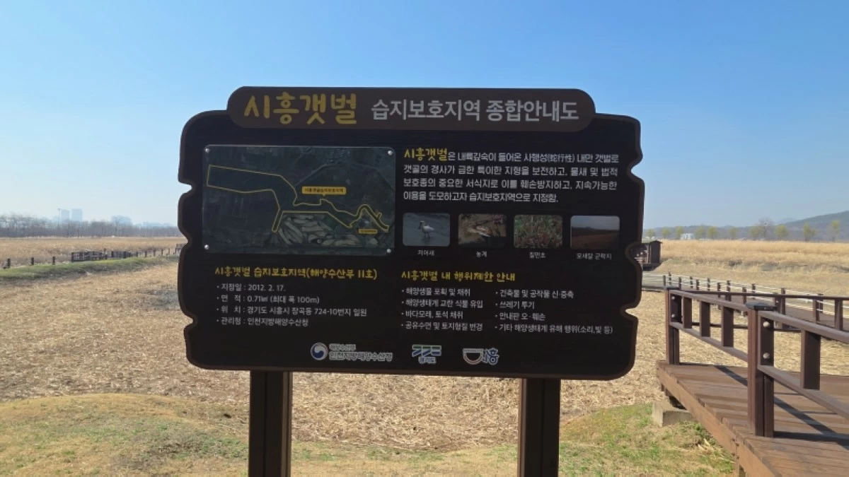 Birdwatching zone at the Siheung Gaetgol Eco Park (Jonathan Hicap) 