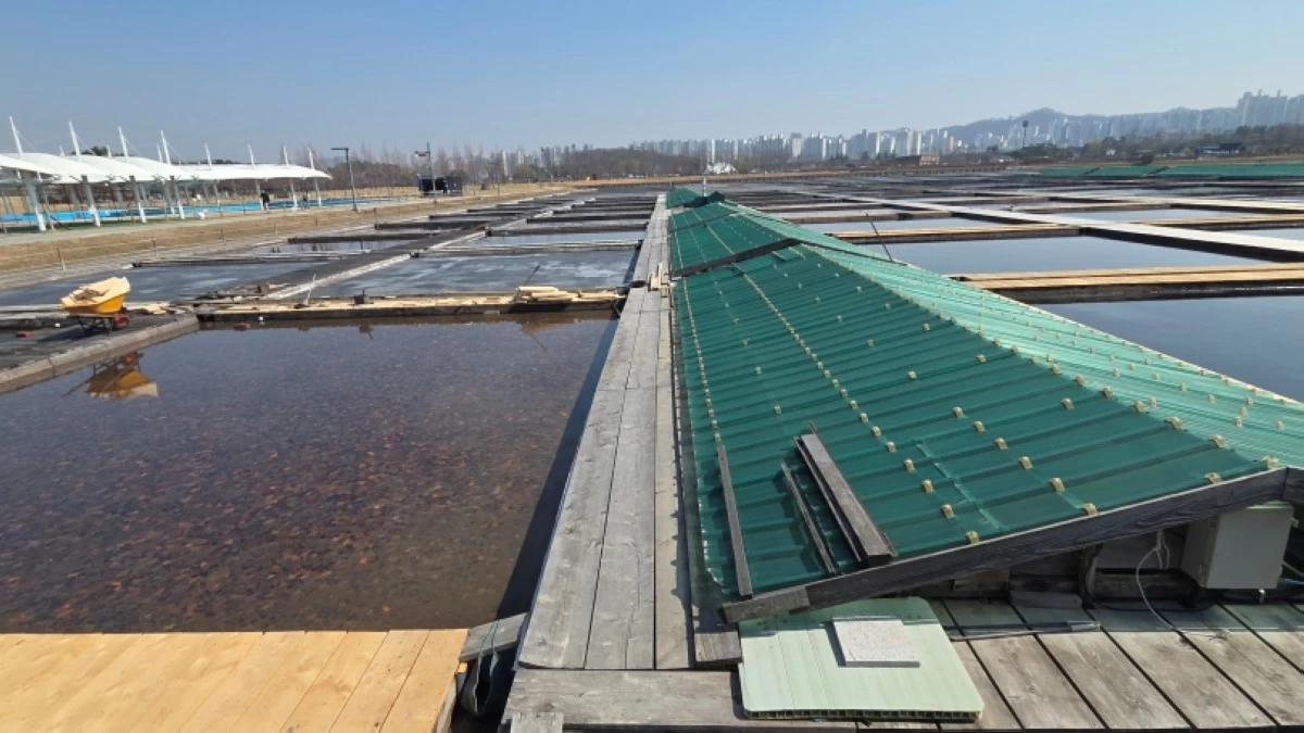  Siheung Gaetgol Eco Park (Jonathan Hicap) 