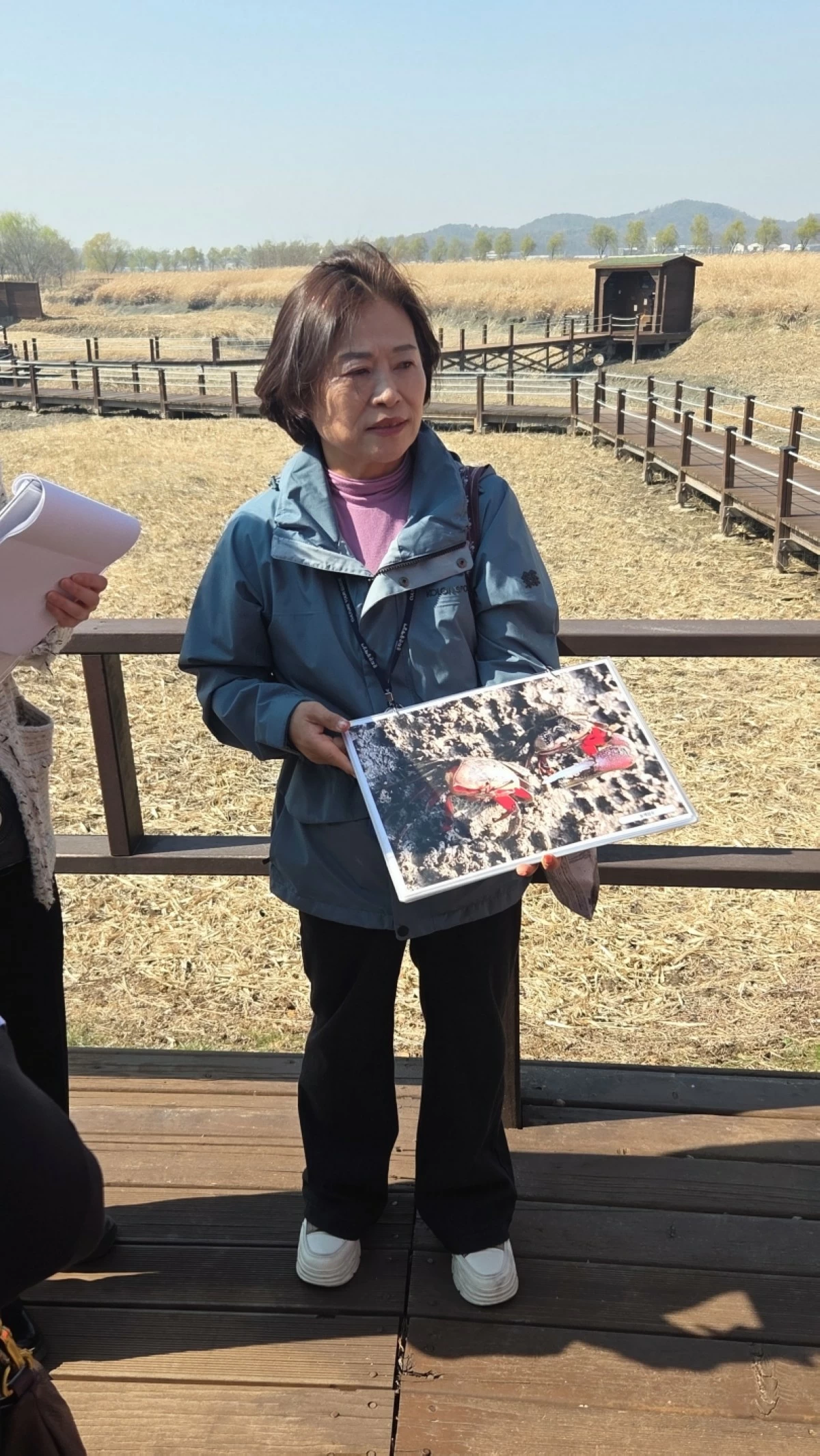 Birdwatching zone at the Siheung Gaetgol Eco Park (Jonathan Hicap) 