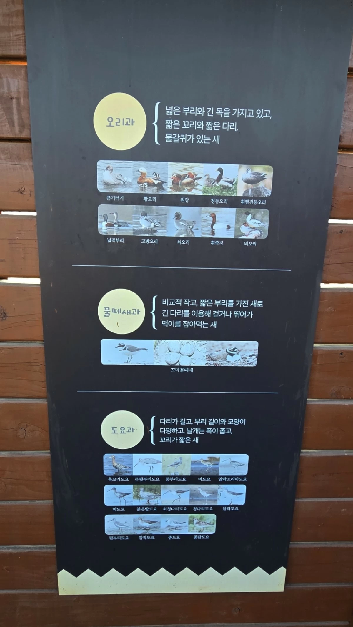 Birdwatching zone at the Siheung Gaetgol Eco Park (Jonathan Hicap) 