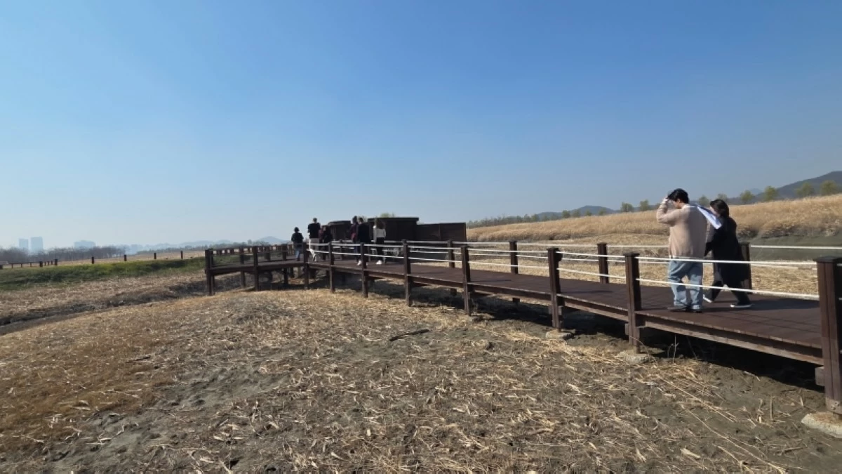Birdwatching zone at the Siheung Gaetgol Eco Park (Jonathan Hicap) 