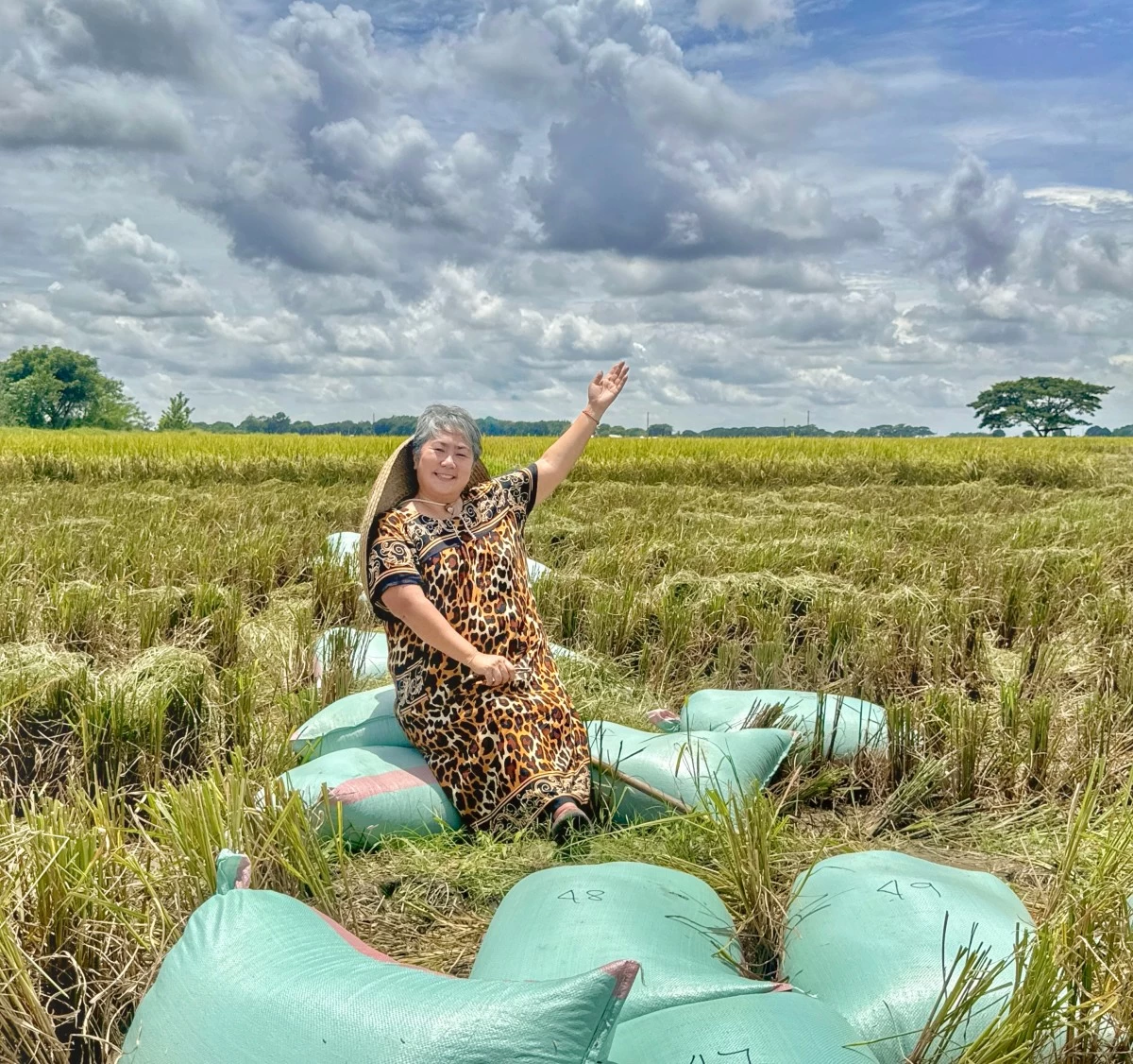RICE HARVEST — Sebastian sits atop bags of rice in the middle of the field. (Myriad Farms)
