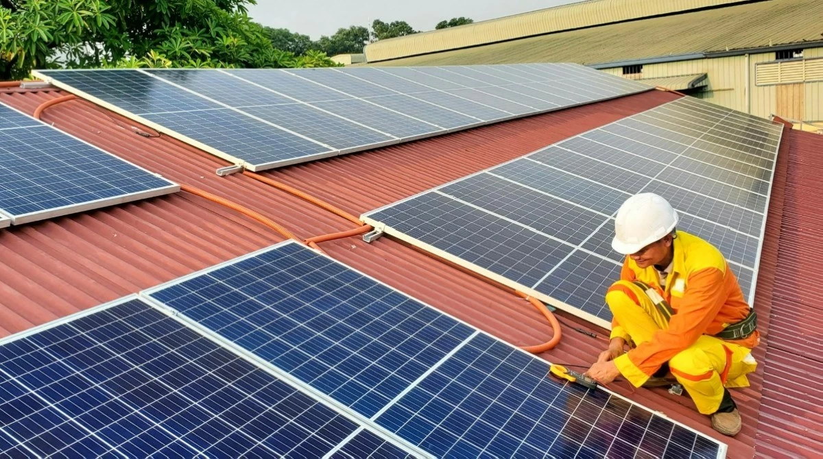 Current efforts to transition to RE by businesses and households have showcased promising results for the economy’s stability.
