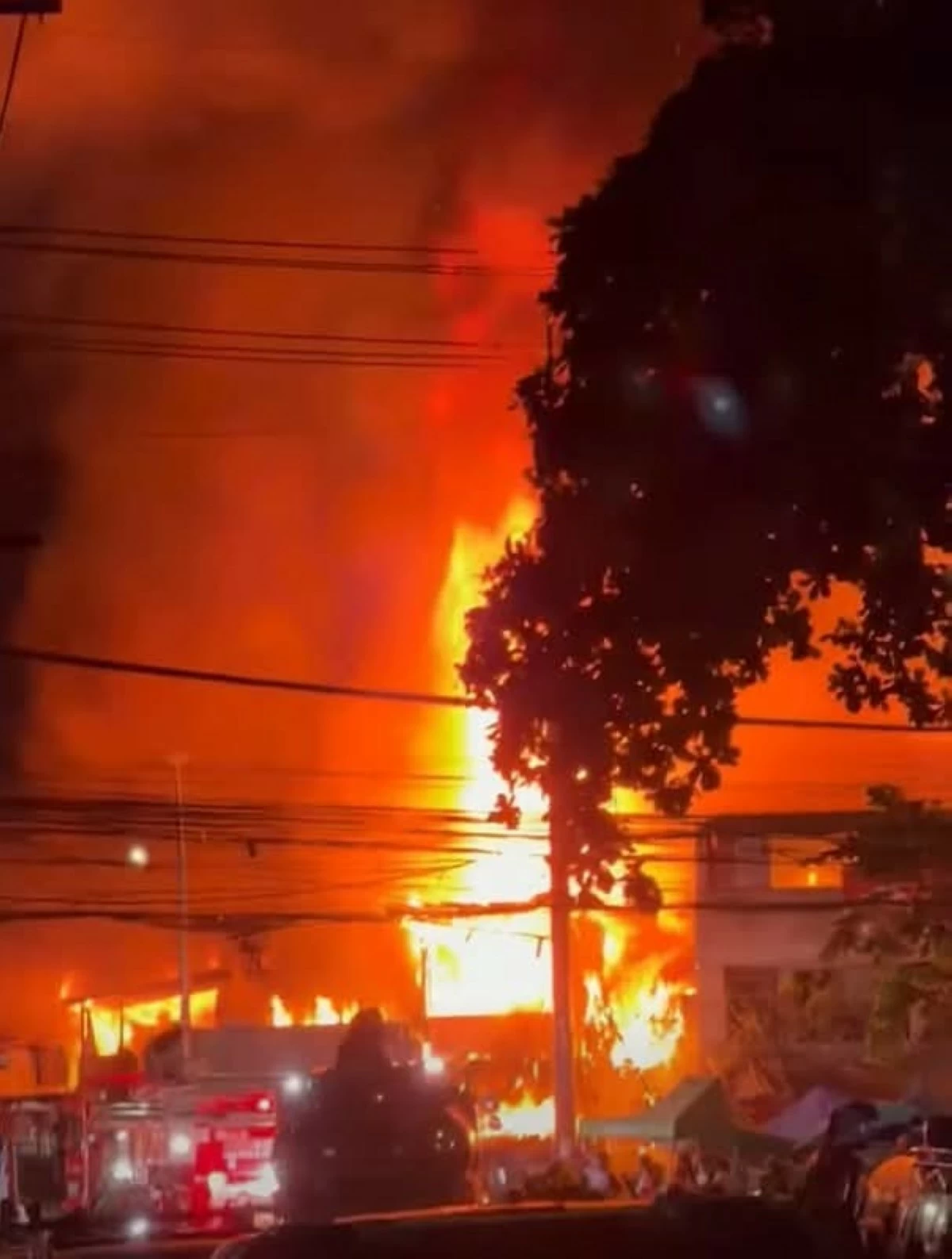 Photo courtesy of the Philippine Emergency Alerts