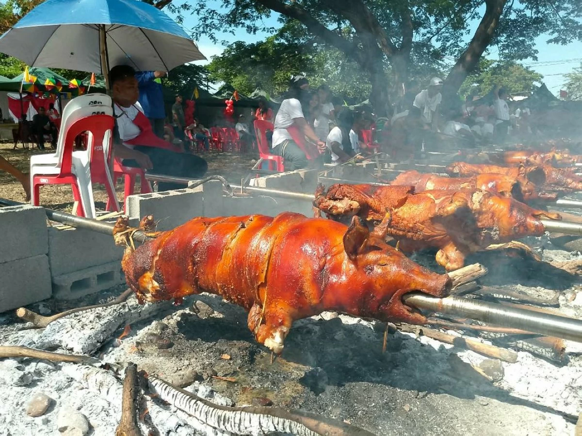 ROASTED pigs cooked on Saturday, May 2, during the ‘Lechonan ed Barangay Year 4’ in Barangay Lasip Chico, Dagupan City. (Liezle Inigo)