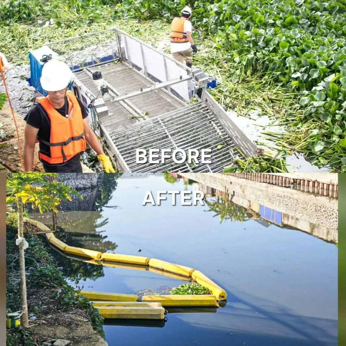 (Photos from Councilor Angelu de Leon)