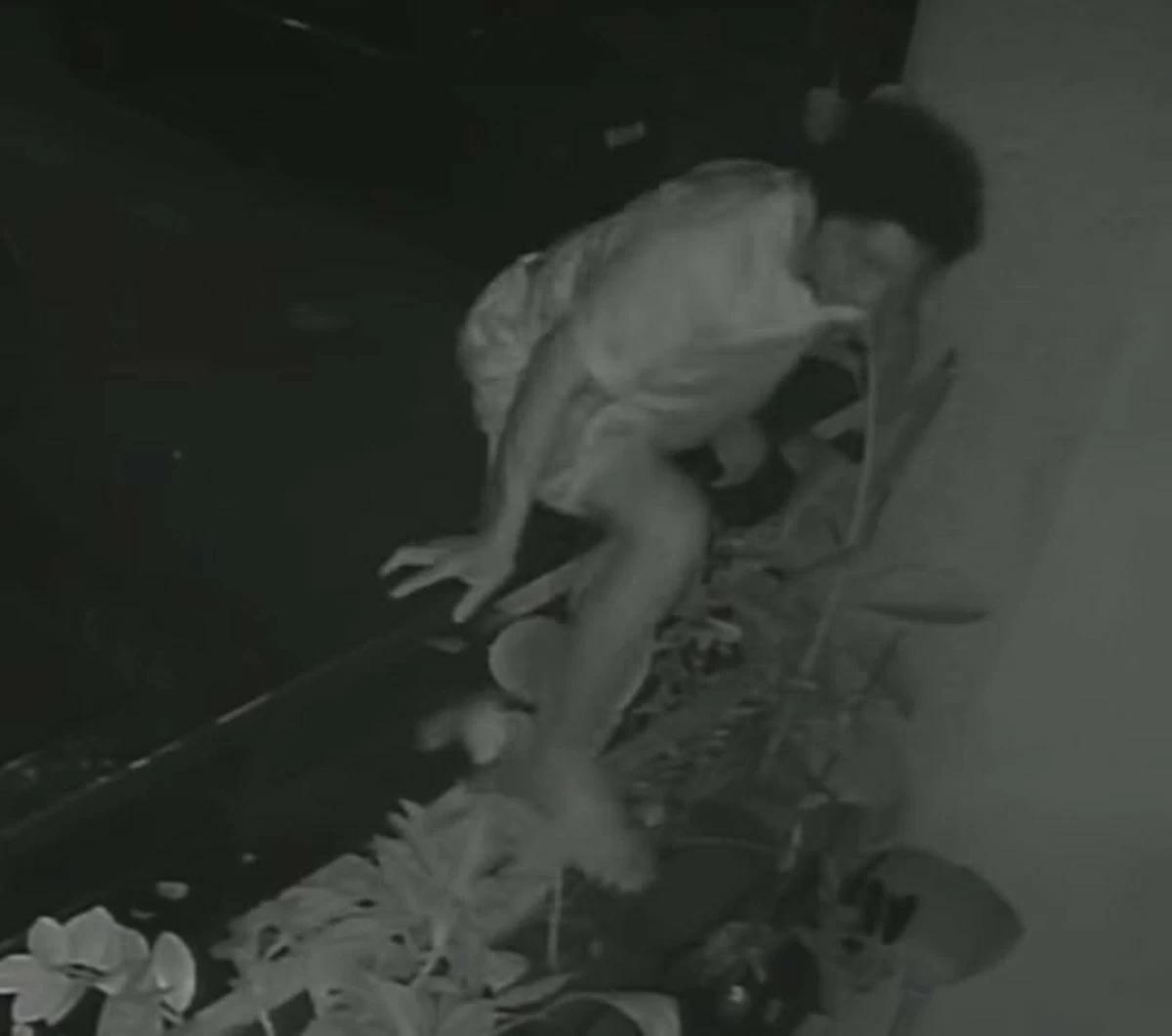 CCTV footage shows a male suspect entering the second-floor terrace of a residence in Barangay Holy Spirit, Quezon City before forcibly gaining entry and fleeing after taking personal belongings in a robbery case being investigated by the Quezon City Police District (QCPD). (Screengrab from Teddy Corpuz/TikTok account)