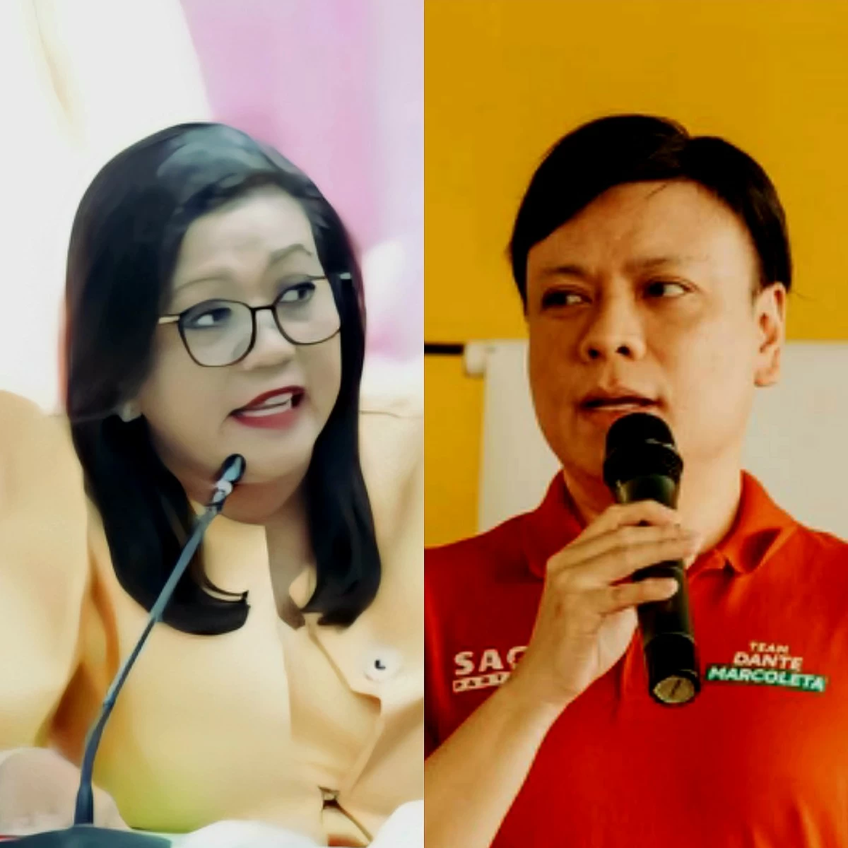 Batangas 2nd district Rep. Gerville "Jinky Bitrics" Luistro (left), SAGIP Party-list Rep. Paolo Marcoleta (Facebook)