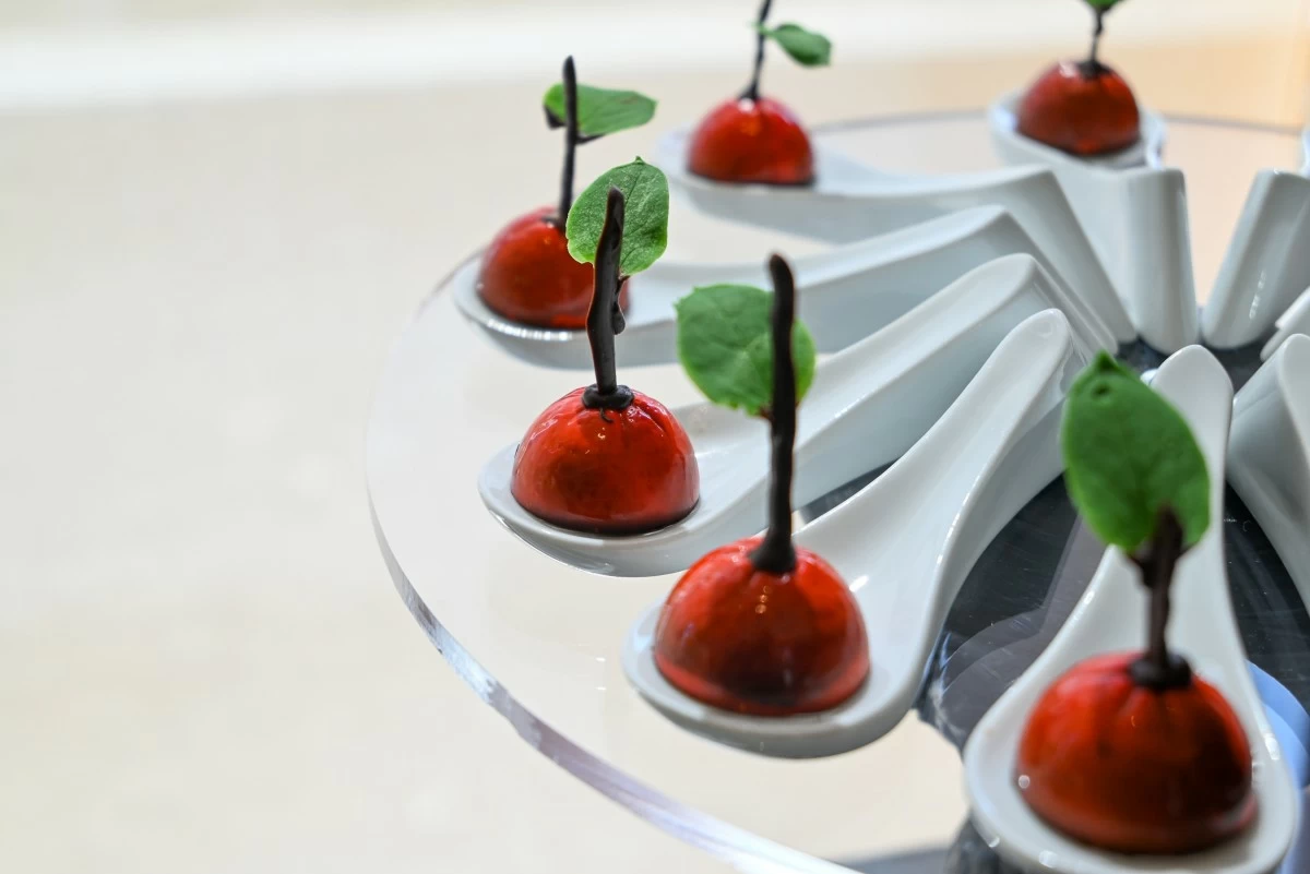 Orange and praline dark chocolate bonbons
