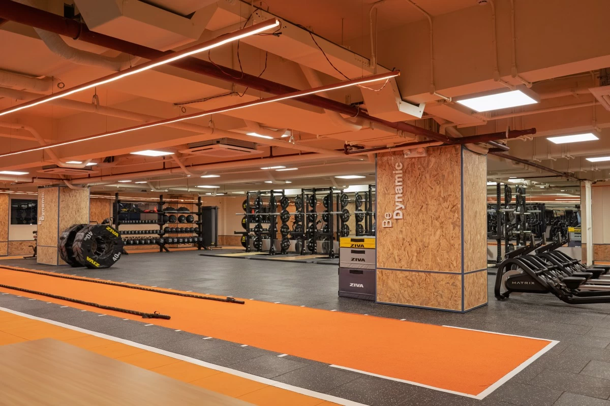 TIME TO LIFT Weights and various strength training equipment for working on your muscles