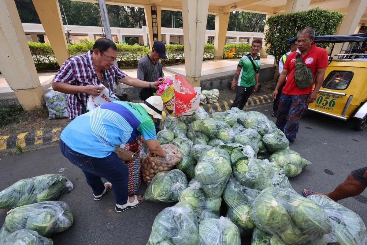 Fresh vegetables from Atok, Benguet are delivered to Quezon City Hall as part of the city government’s ongoing rescue-buy initiative. (Photo courtesy of the Quezon City government)