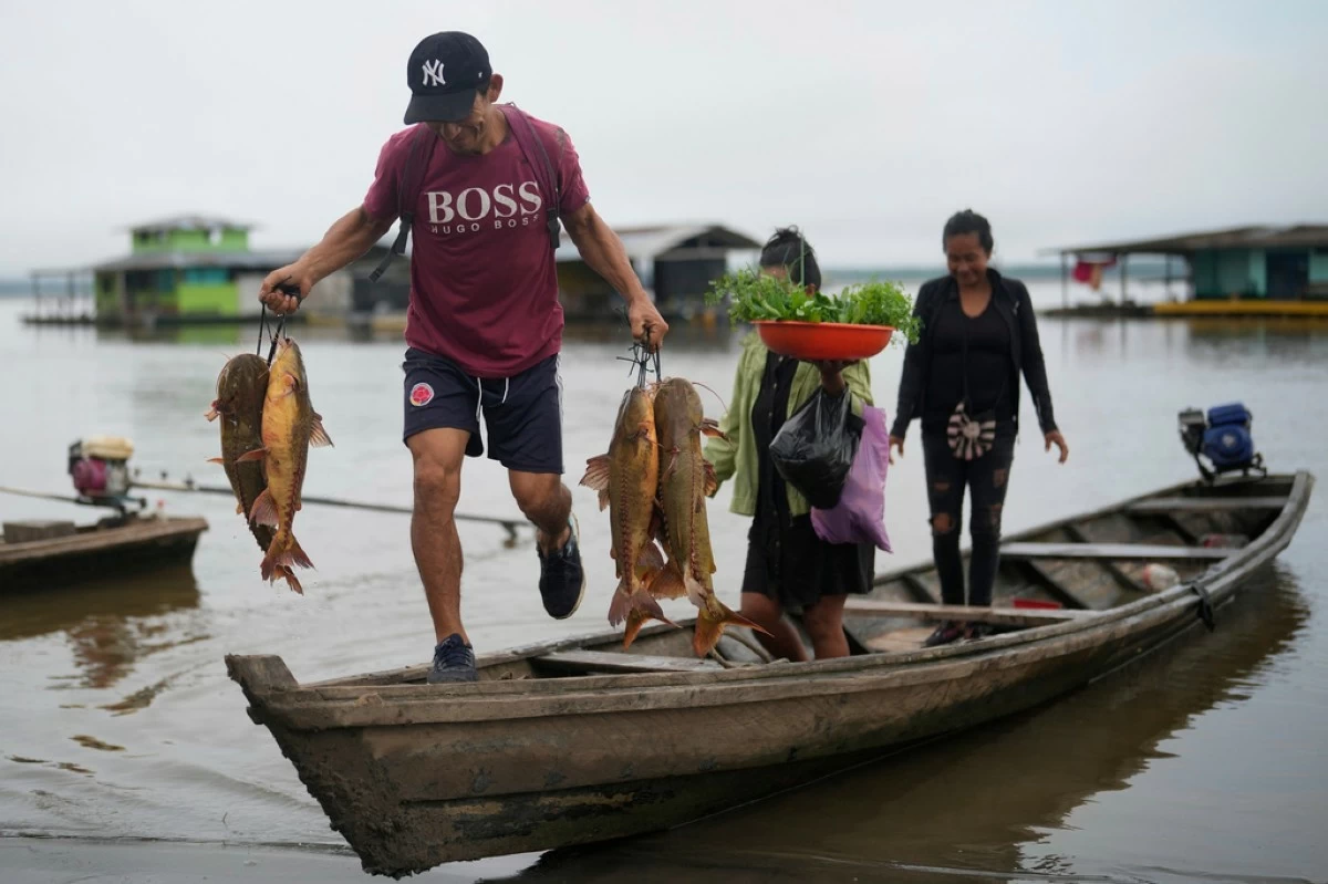 A man unloads fresh fish from a boat in Puerto Narino, Colombia, along the Amazon River, Sept. 7, 2025. (AP Photo/Fernando Vergara)
