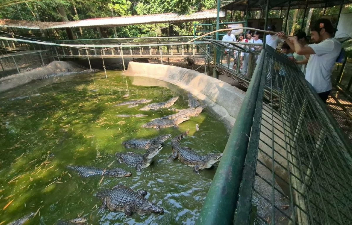 
GET up close and personal with various animals at Zoobic Safari at the Subic Bay Freeport. (Zaldy Comanda)
