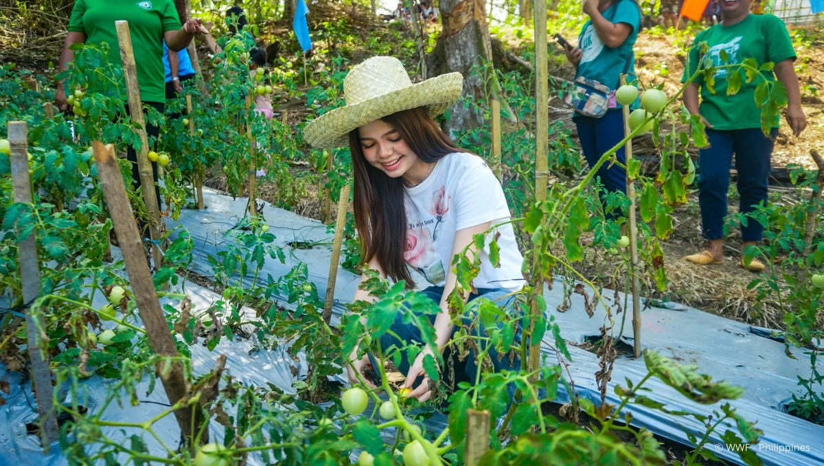 Xia Vigor harvests vegetables at the Santa Fe Community Food Shed, a local initiative that strengthens food security and creates livelihood opportunities through compact farming for both consumption and trade. Photo by Hyacinth Gaza for WWF-Philippines
