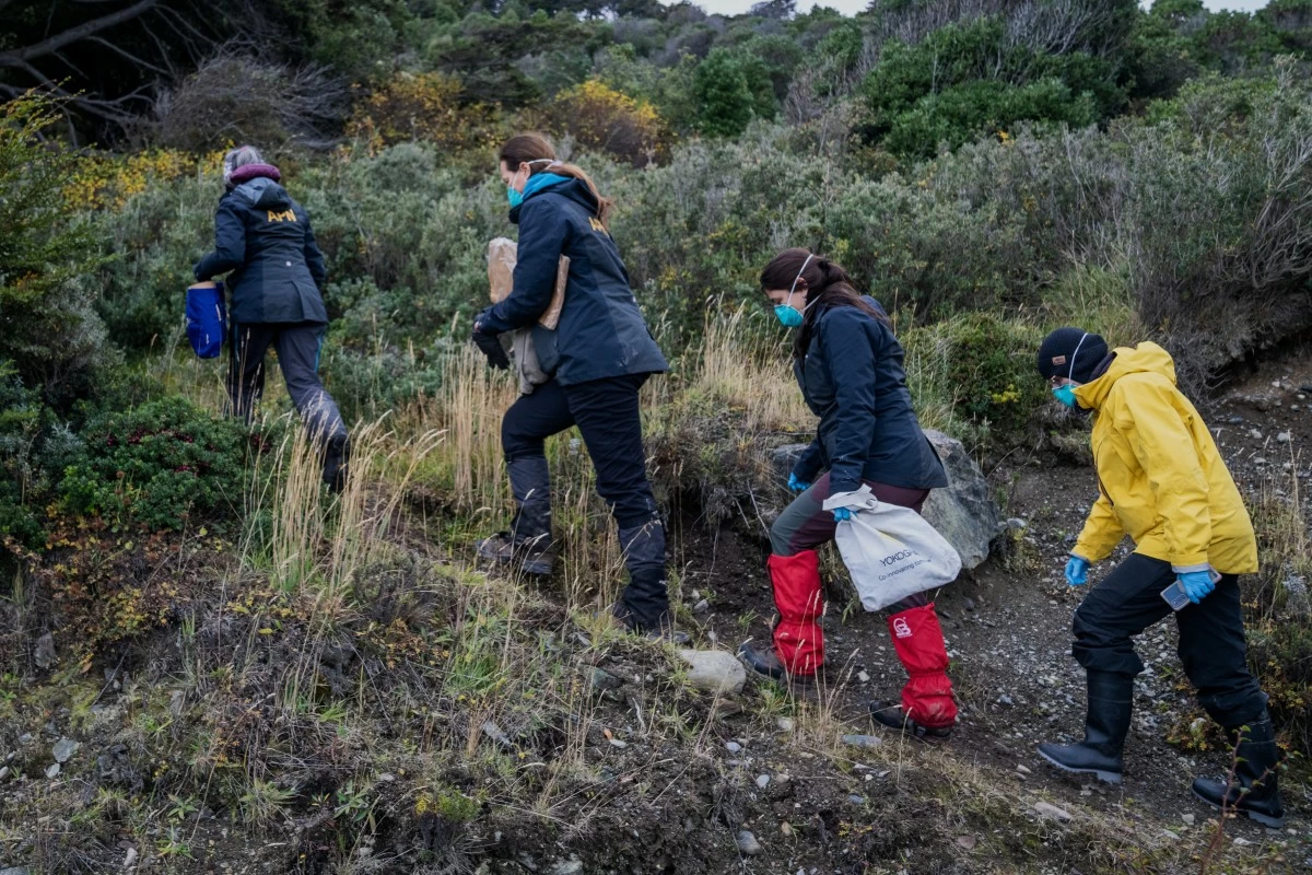 Argentine scientists collect traps placed at different points across Ushuaia, Argentina, Tuesday, May 19, 2026, as part of an investigation for the source of the hantavirus outbreak on the MV Hondius cruise ship. (AP Photo/Lujan Agusti)
