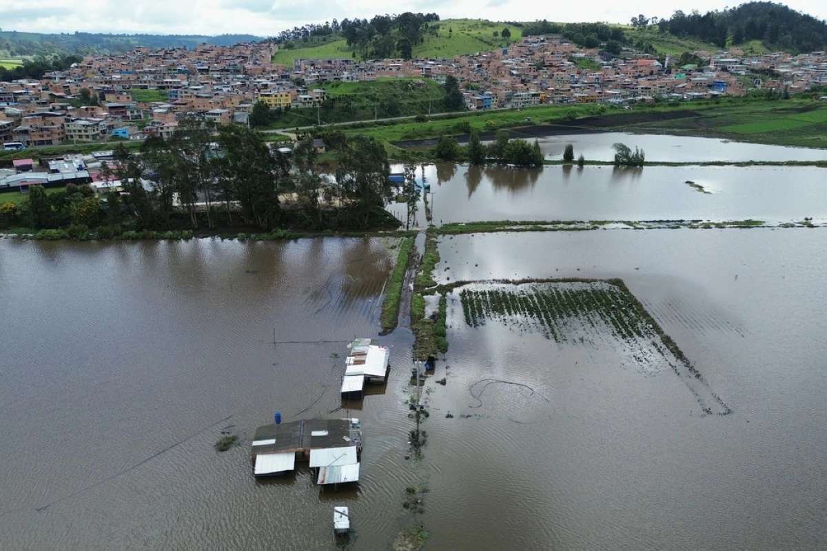 A strawberry farm is flooded after the Botello River overflowed due to heavy rain in Facatativa, Colombia, March 20, 2026. (AP Photo/Fernando Vergara)