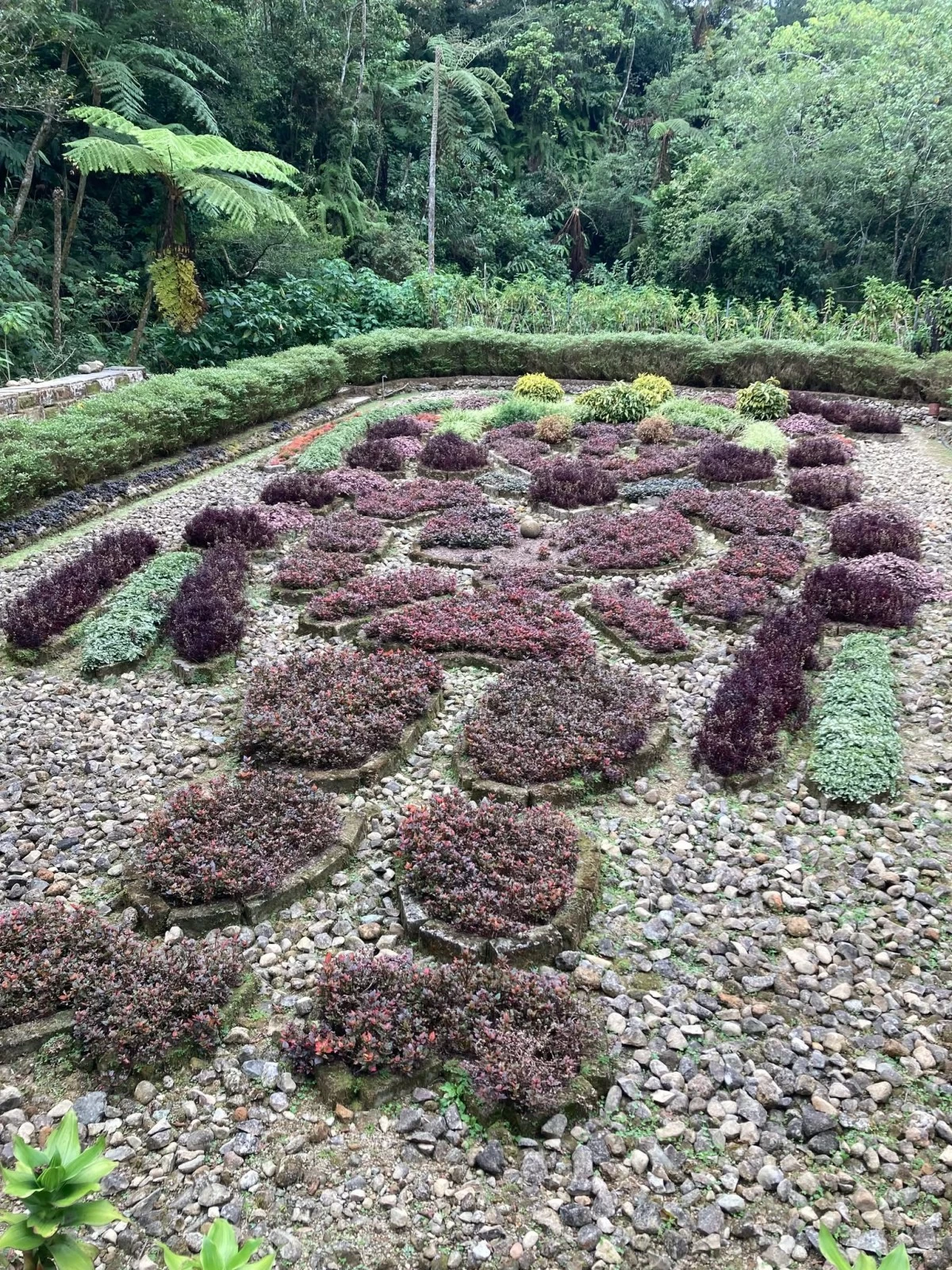 GARDEN OF THE GODS Incan-inspired plant formations create giant imagery on the ground