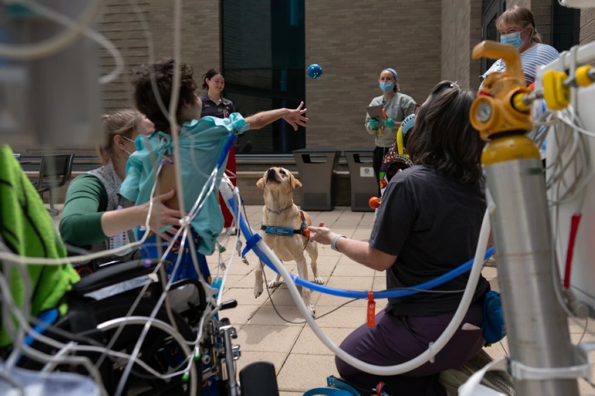Five-year-old patient Calvin Owens, second from left, throws a ball for facility dog Hadley with physical therapist Paige Torbet, kneeling left, and child life assistant Schellie Scott, kneeling right, during a physical therapy visit on the patio of Cincinnati Children's Hospital in Cincinnati, Monday, May 4, 2026. (AP Photo/Carolyn Kaster)