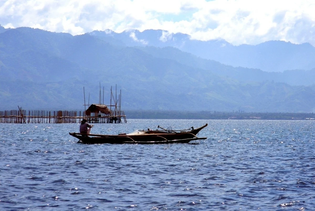 As ocean temperatures rise, fish move to cooler waters to survive.