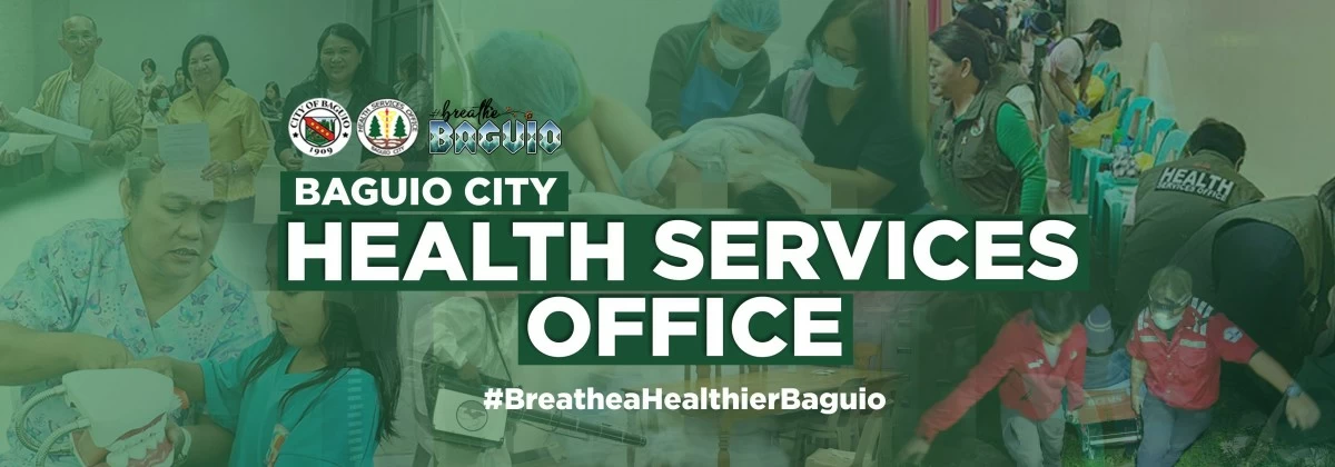 Baguio now requires pest control measures for business permits