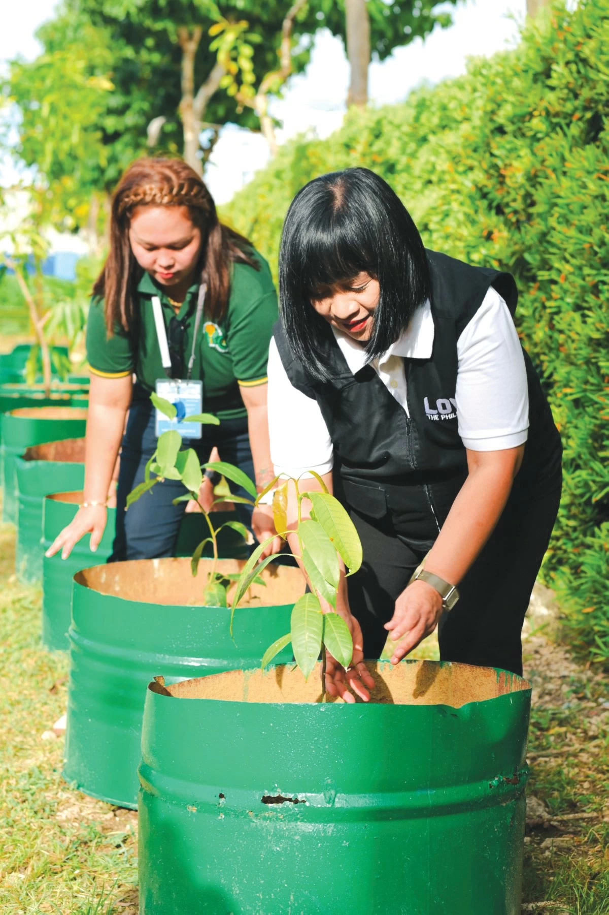Volunteers and community groups came together to plant mango trees around The Mactan Newtown area in Lapu-Lapu City, reinforcing the festival's commitment to sustainability, environmental stewardship, and the preservation of Cebu's mango-growing heritage.