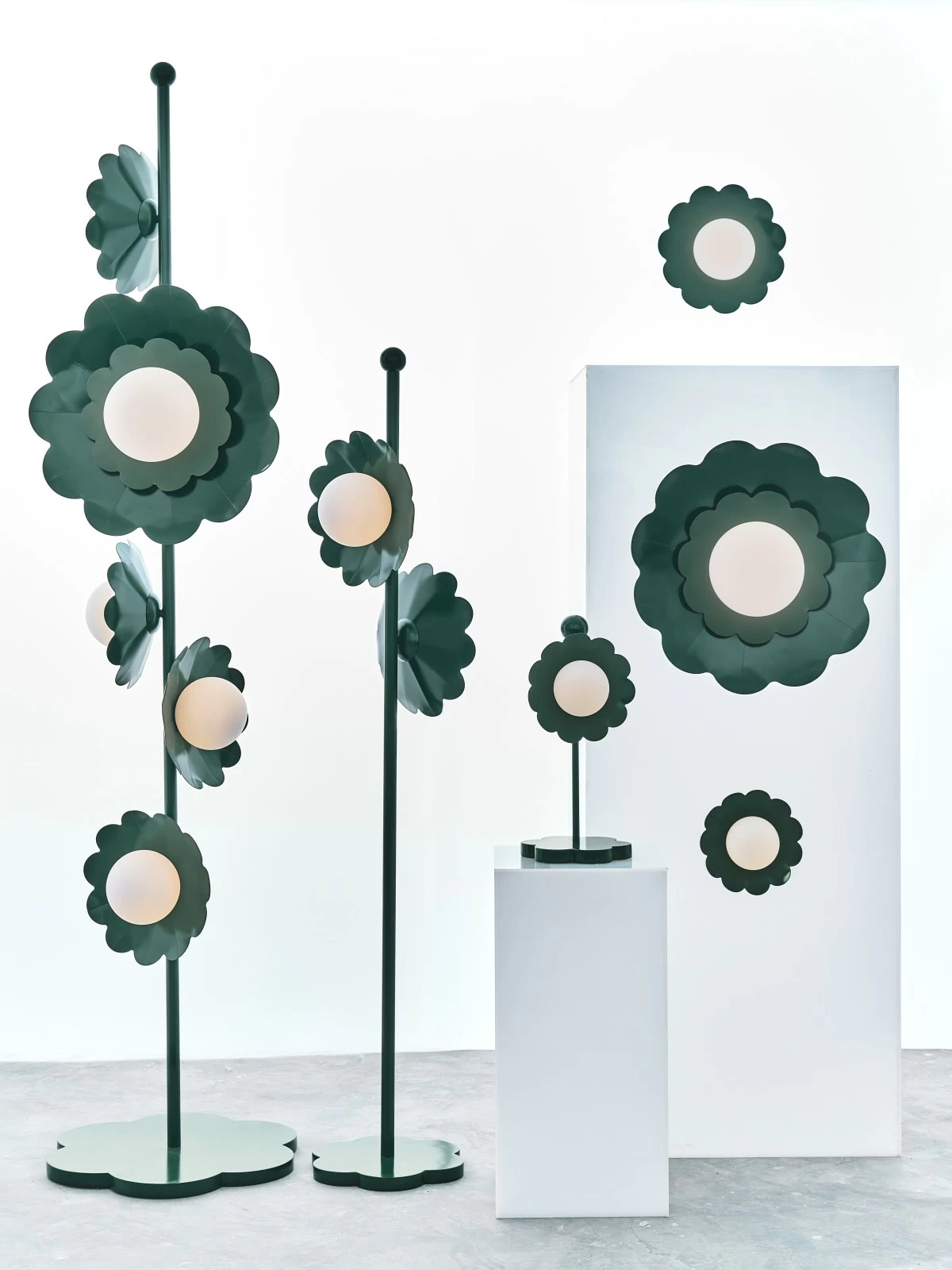 Luz de Flores in Forrest finish (Photo: Venzon)