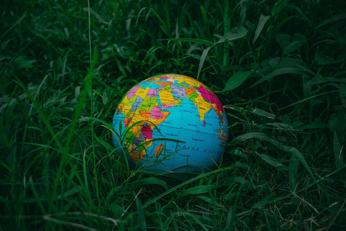 Image from Pexels