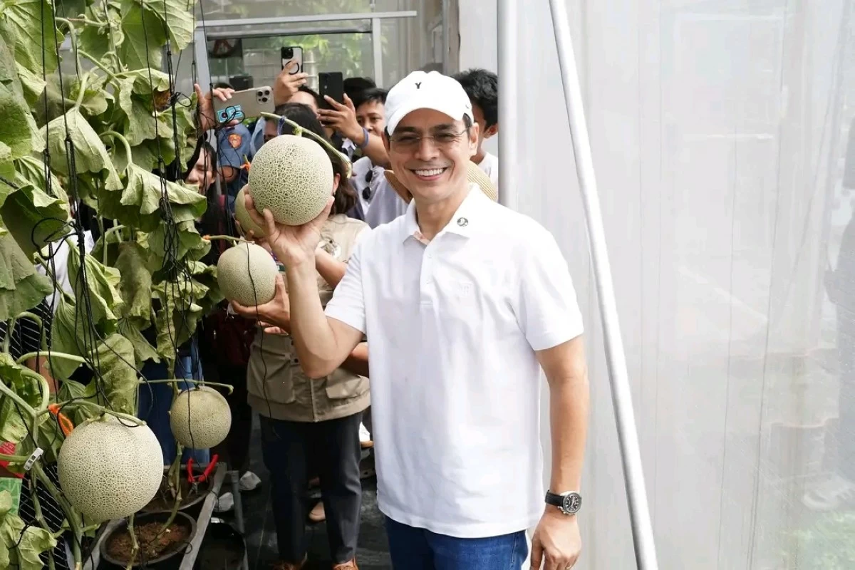 Mayor Francisco “Isko Moreno” Domagoso shows a Japanese musk melon grown at the Luneta Urban Garden during his visit to the greenhouse facility. (Photo from Manila PIO)