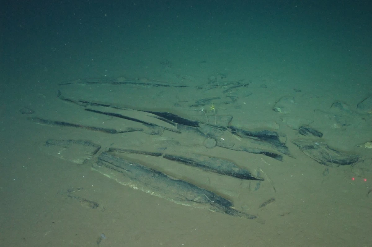 This undated image provided by Peng Zhou shows newly-discovered fossilized whale bones at a site deep underwater, southeastern Indian Ocean, in the Diamantina Fracture Zone. (Global TREnD, IDSSE via AP)