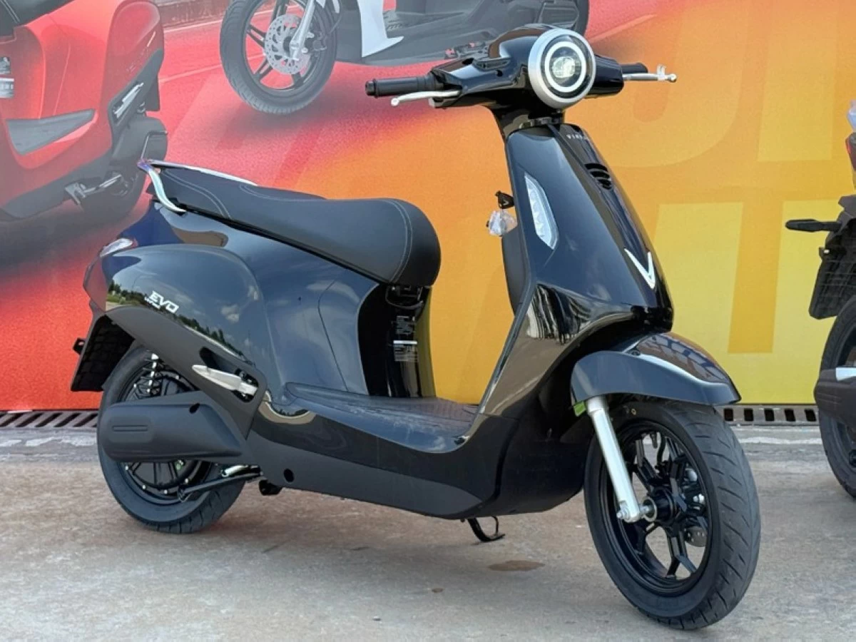 VinFast Evo