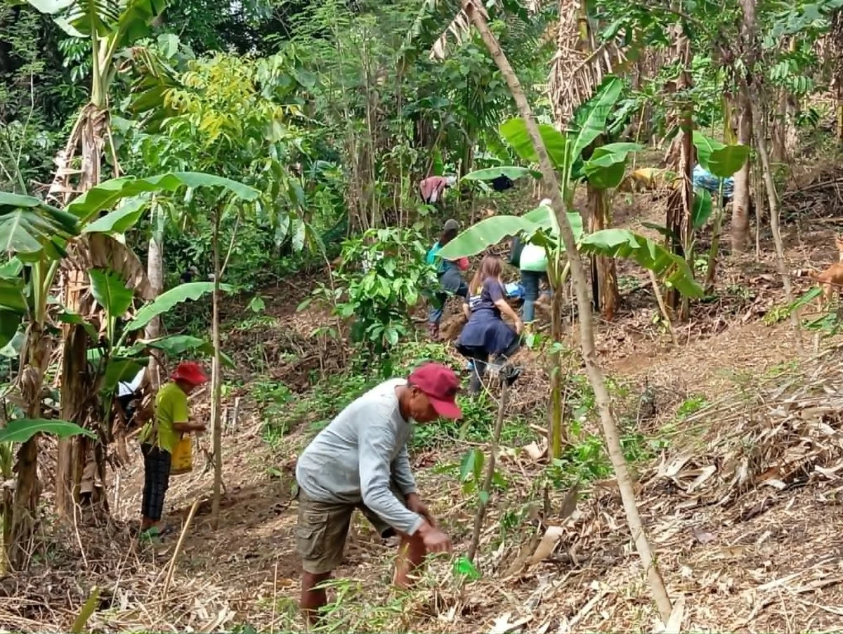 Farmer-residents who are members of the Samahan ng Magsasaka sa Kilingan-Panusugin, Inc. (SMKPI) in Antipolo participate in a tree-planting activity initiated by Vena Energy. (Photos by Nel Andrade)