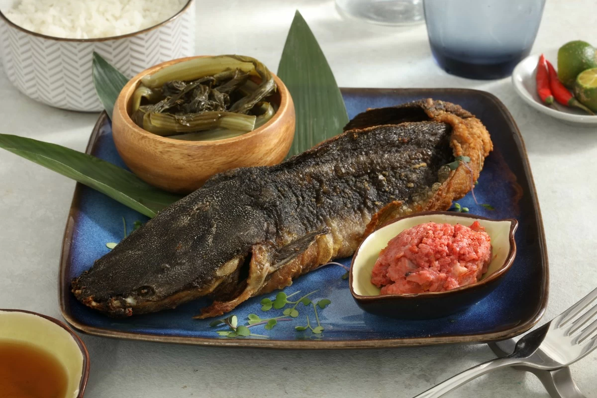 Pritong Hito at Burong Mustasa (Photo: Alino Hotel)