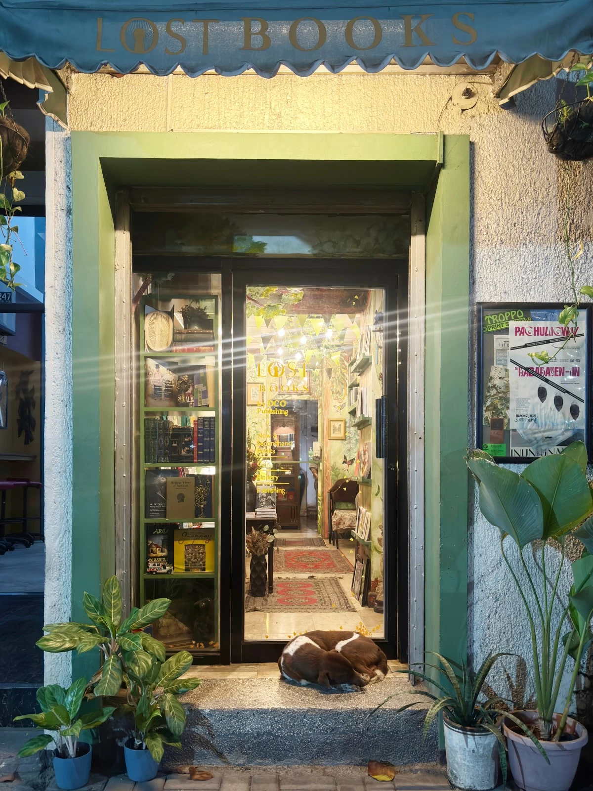 TWILIGHT SCENE — A dog takes refuge under the awning of Lost Books Cebu as night falls.