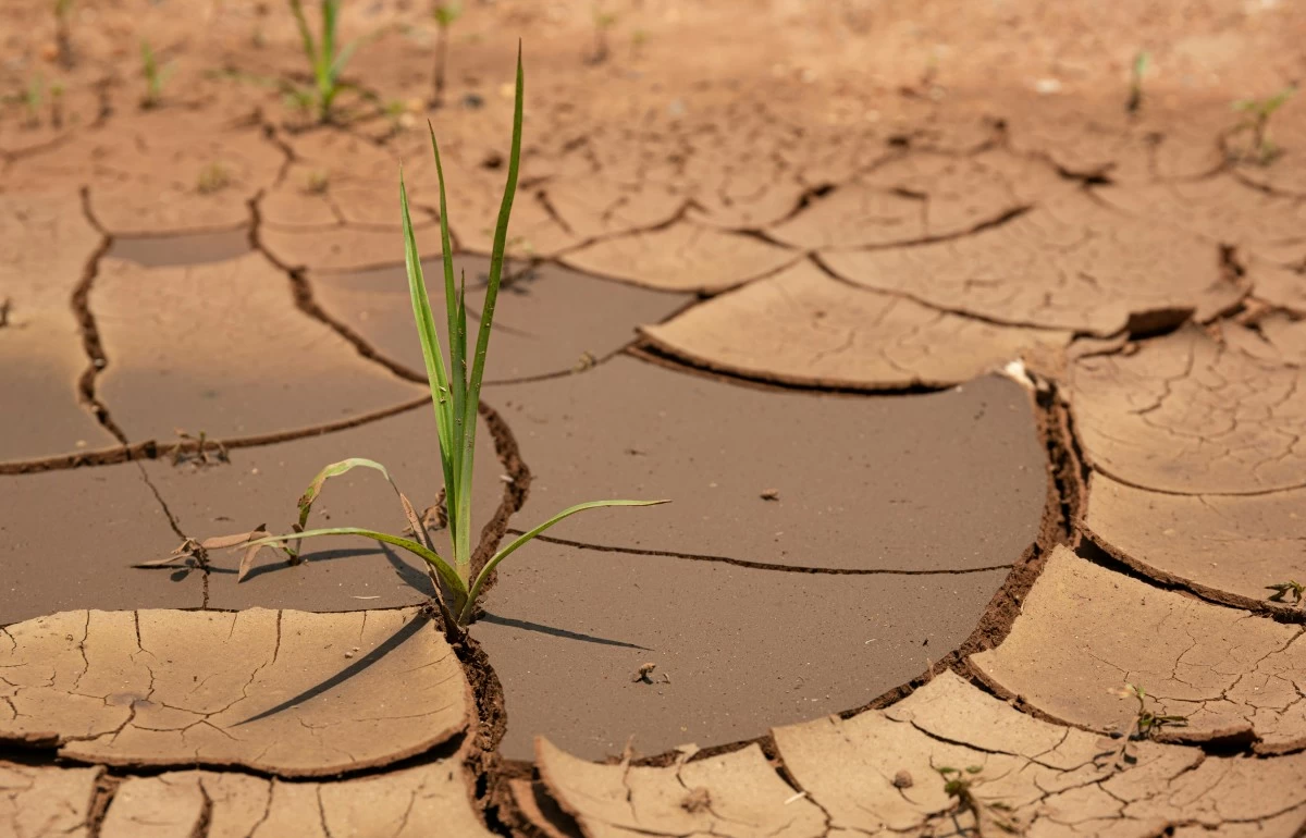Philippines among emerging markets most vulnerable to El Niño—S&P