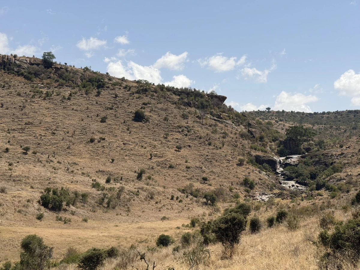Africa's iconic savannas support wildlife, livestock, and conservation-based economies that sustain local communities.

