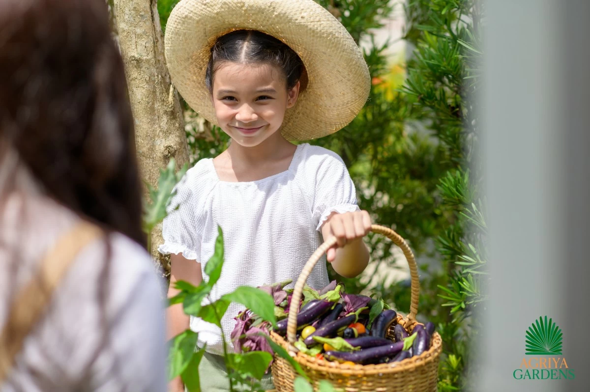 Rooted in Mindanao’s rich agricultural heritage, Agriya Gardens stands as a living testament to the importance of preserving productive landscapes while integrating agriculture into modern development.(Photo: Damosa Land)