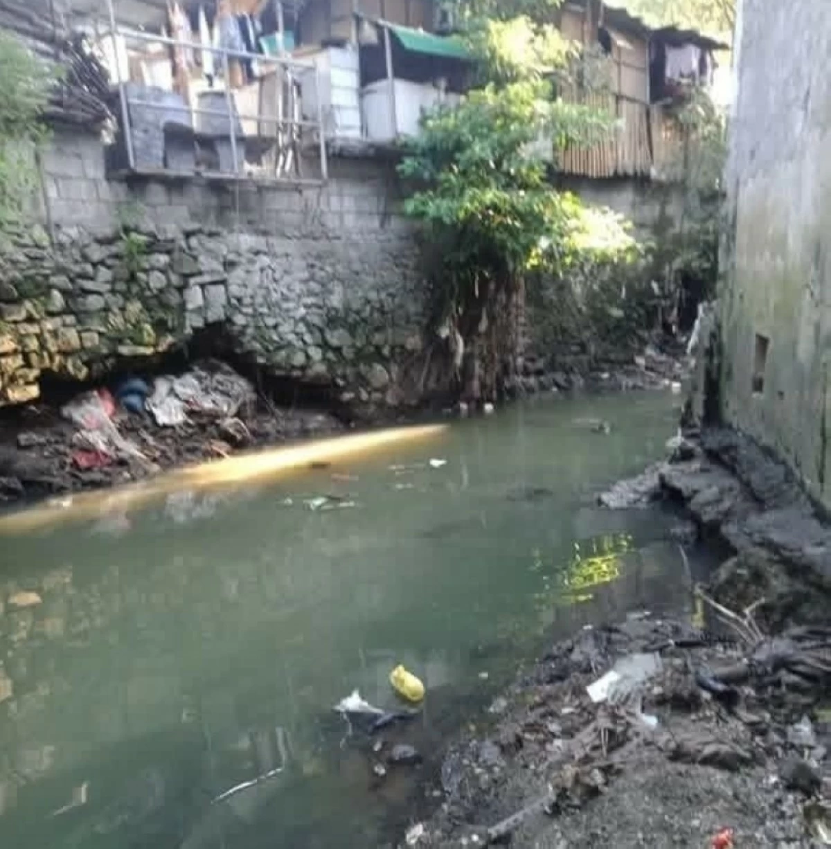 The Dario River in Barangay Bahay Toro, Quezon City. (Photo courtesy of the Department of Sanitation and Cleanup Works of Quezon City)