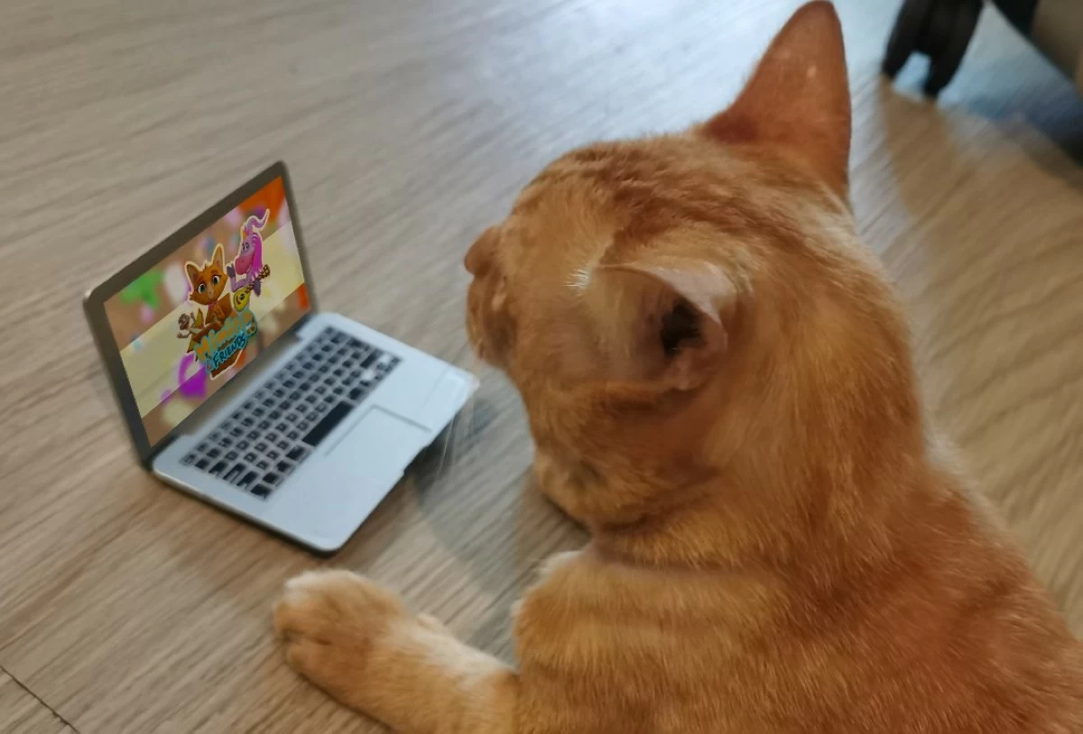 Cat Executive Officer — Episode quality check by The del Prado’s cat.