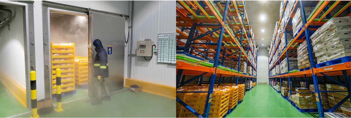 Viking Cold Storage tapped AdventEnergy for an 896-KW retail electricity supply contract to power its one-hectare facility in Davao City. It has loading docks, freezer and chiller rooms, an ethylene glycol refrigeration system, and two 10-metric-ton blast freezers, which all require consistent and reliable electricity.