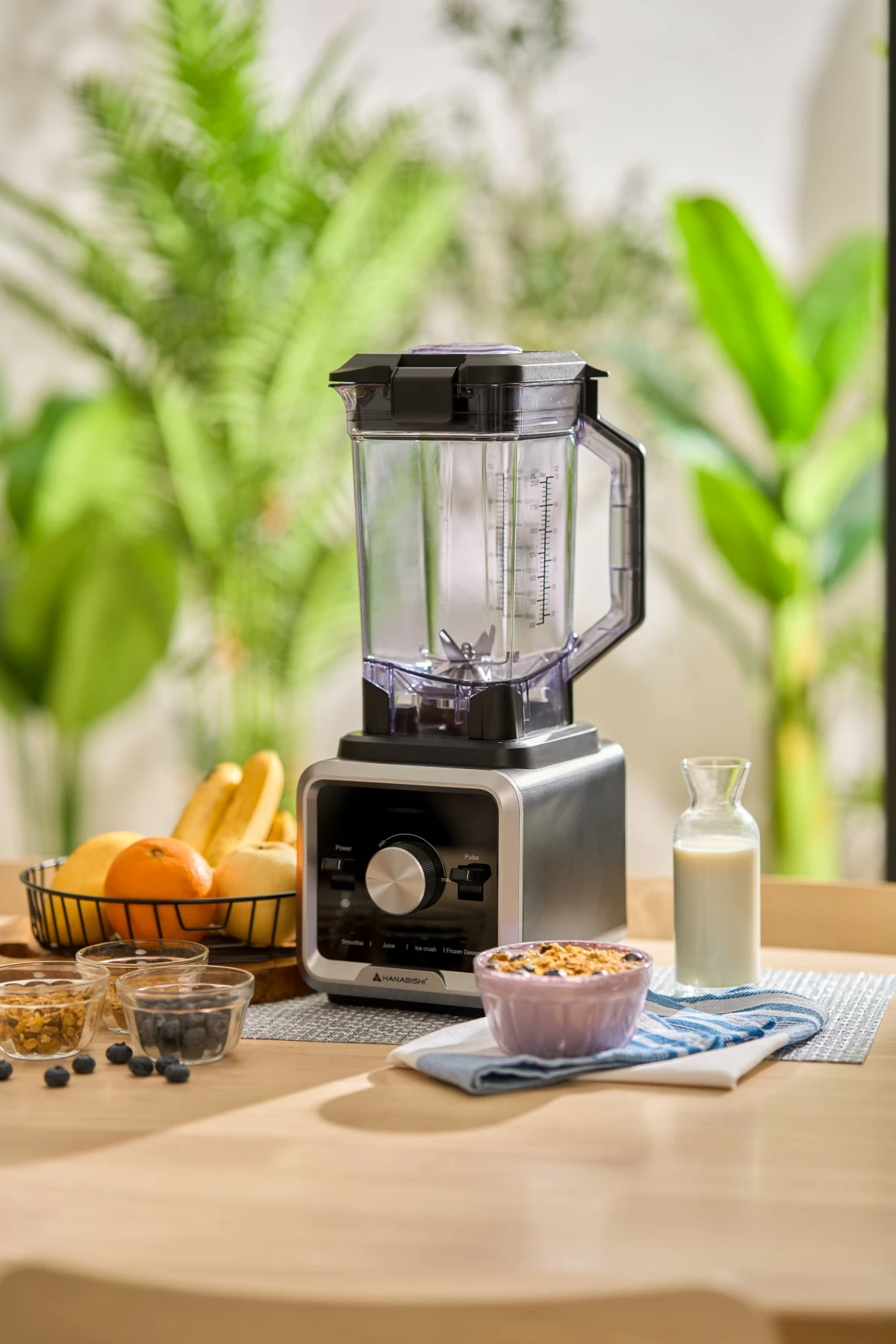 Hanabishi Commercial Blender