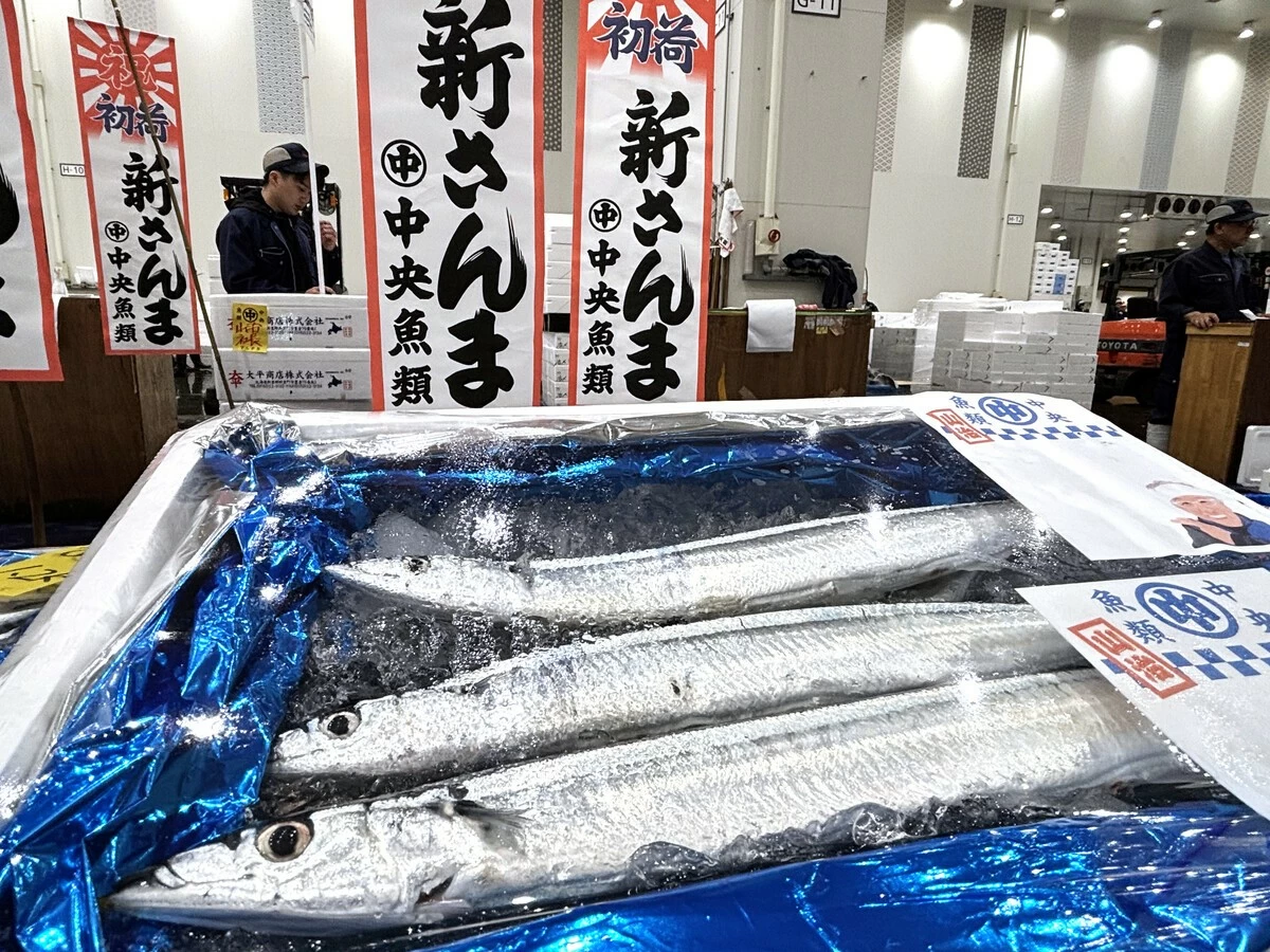 The season's first batch of saury fetches a record price at Tokyo's Toyosu wholesale market on Friday morning.
