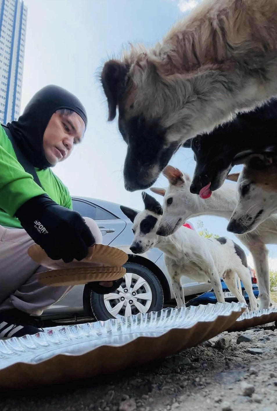 Delivery rider Benj Paz feeds stray dogs during a brief stop between bookings.