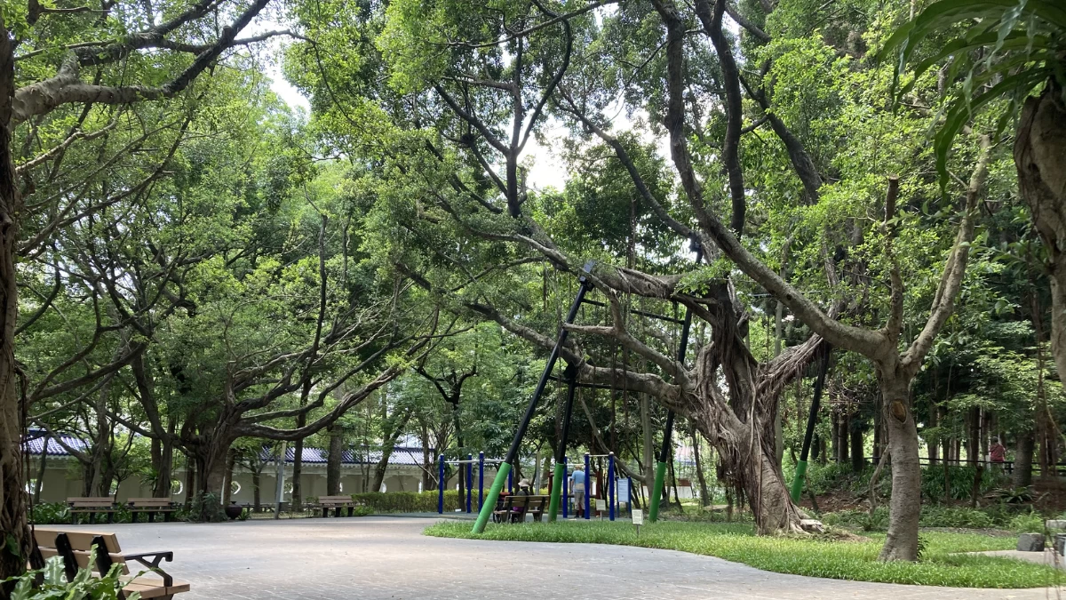 There are several trees found within the park area where visitors can be seen relaxing or exercising