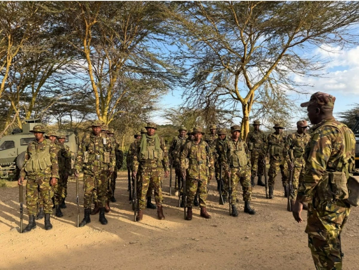 Anti-poaching ranger units patrol daily to protect endangered rhinos.
