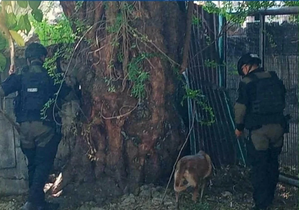 Police in Bulacan implemented security protocols after bomb threats disrupted classes on July 20. The suspect was arrested in Jaen, Nueva Ecija on Tuesday, July 21. (Bulacan PPO photos) 