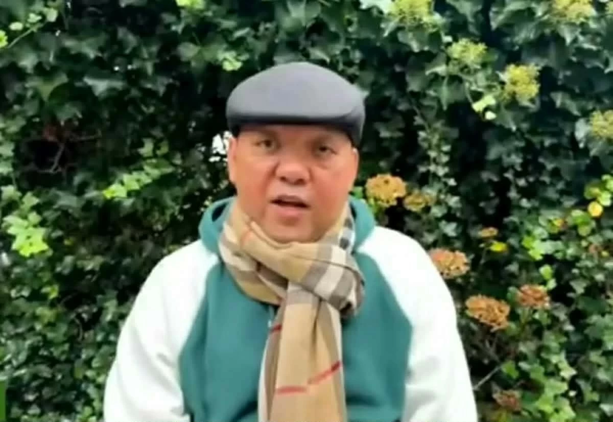 Harry Roque’s asylum bid in Austria denied, Jonvic says