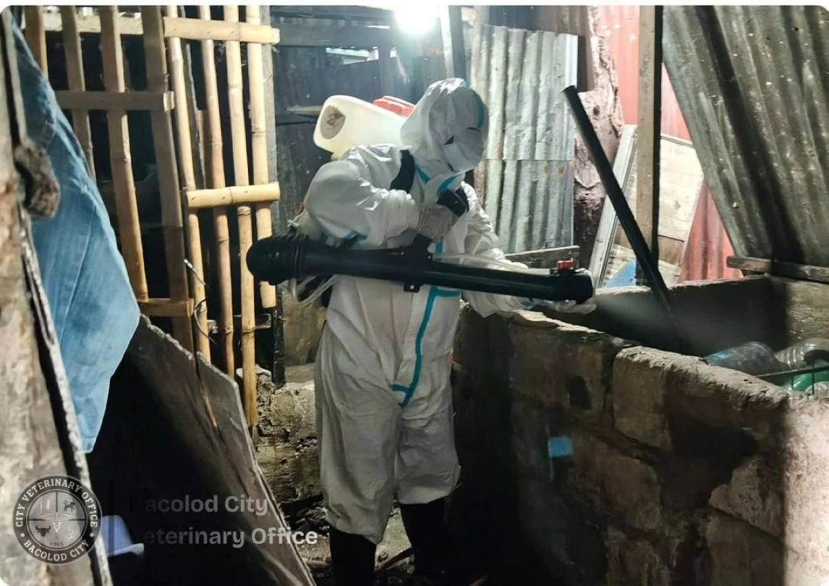 THE Bacolod City Veterinary Office disinfects identified Ground Zeros or backyard swine areas hit by African Swine Fever (ASF). (CVO)