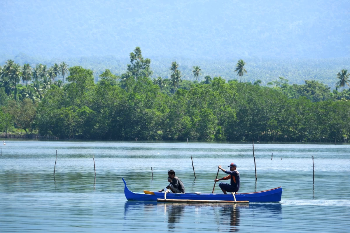 Mangrove areas support local fishing communities.