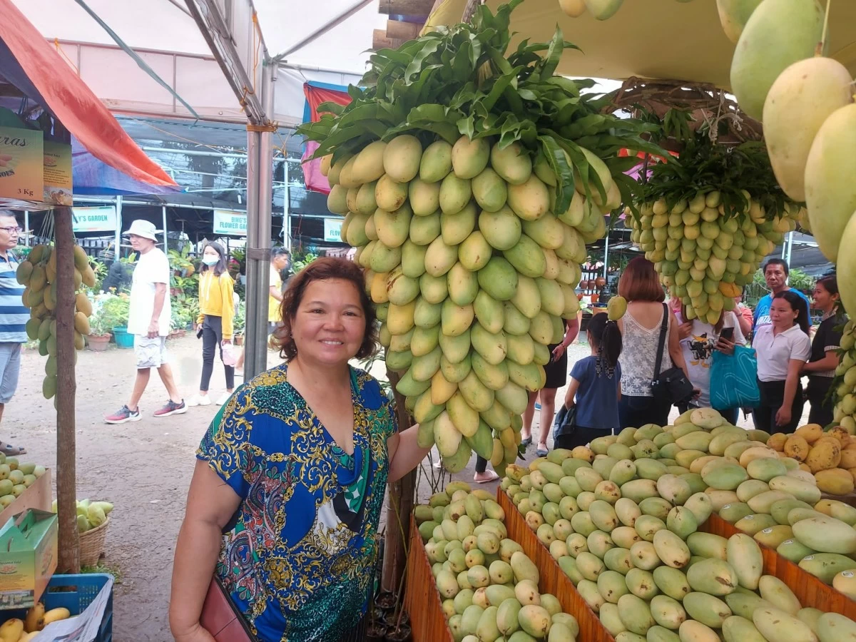 PROUD GUIMARASNON — Helena Quezon, board member of the Guimaras Mango Growers and Producers Development Cooperative, beside tons of Guimaras mangoes being sold at a market.