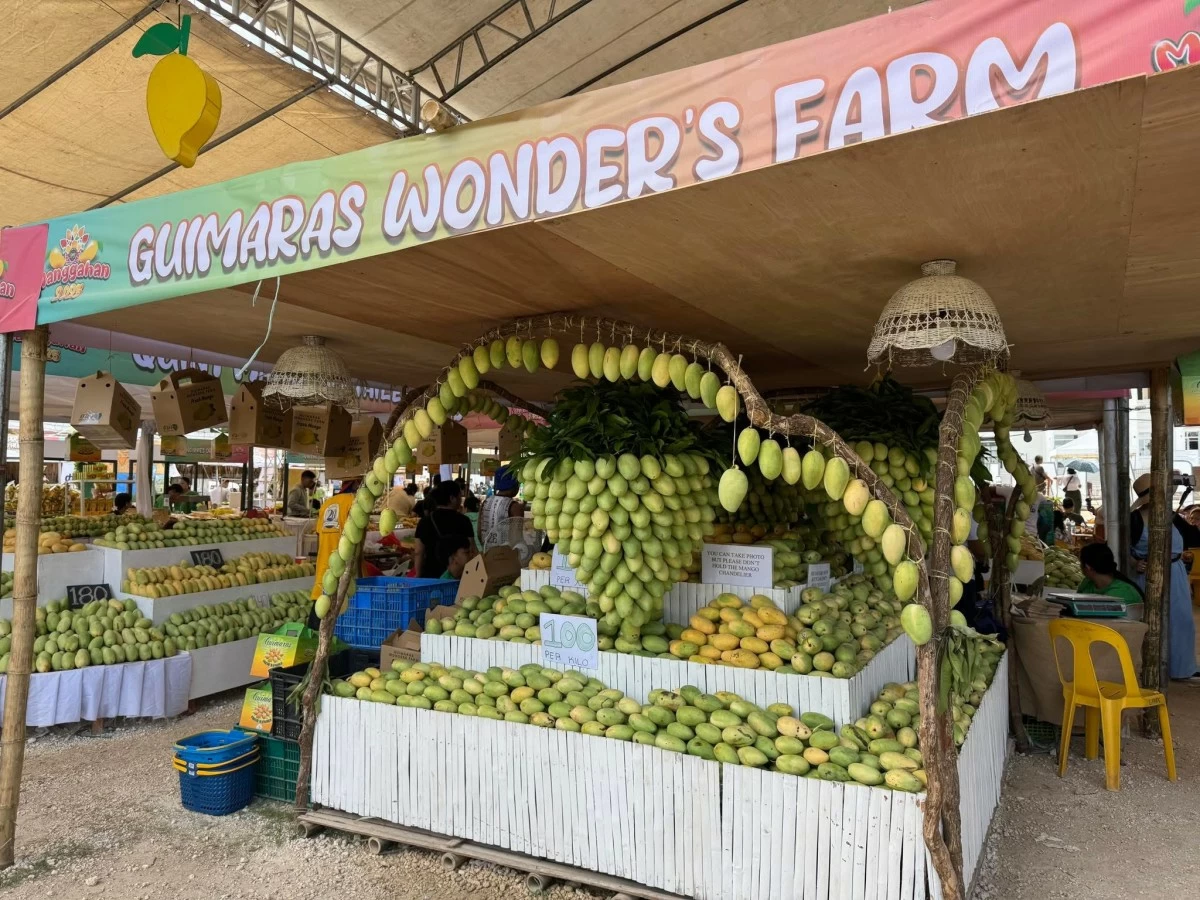 CARABAO MANGOES — A store filled with the Philippines’ prized fruit, Guimaras mangoes. 
